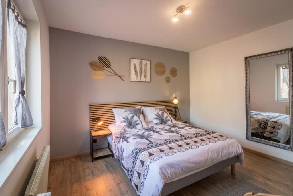 Appartement Le Saver'Zaru, Centre Ville, T2 55M² Saverne Zewnętrze zdjęcie