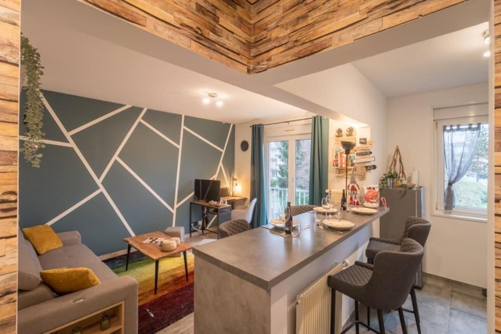 Appartement Le Saver'Zaru, Centre Ville, T2 55M² Saverne Zewnętrze zdjęcie