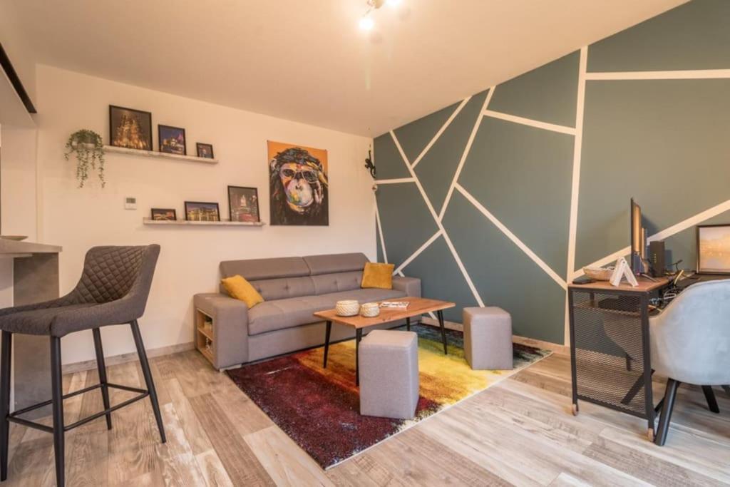 Appartement Le Saver'Zaru, Centre Ville, T2 55M² Saverne Zewnętrze zdjęcie