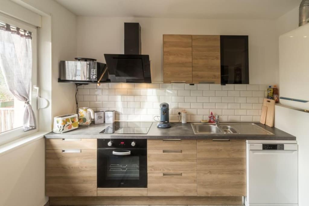 Appartement Le Saver'Zaru, Centre Ville, T2 55M² Saverne Zewnętrze zdjęcie