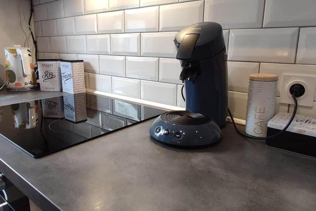 Appartement Le Saver'Zaru, Centre Ville, T2 55M² Saverne Zewnętrze zdjęcie